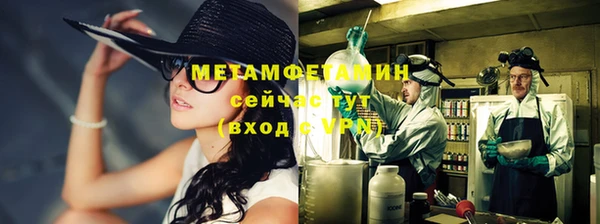 ГАЛЛЮЦИНОГЕННЫЕ ГРИБЫ Козловка