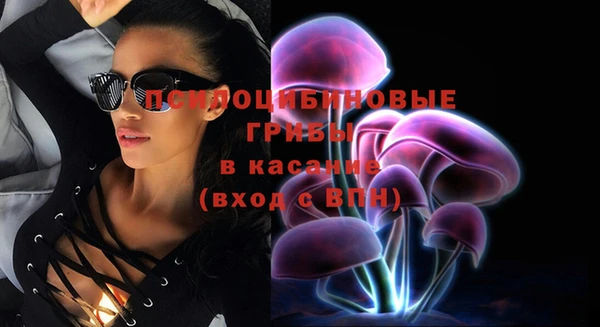 бутират Козельск