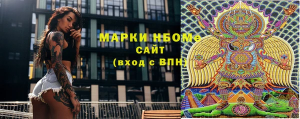 ГАЛЛЮЦИНОГЕННЫЕ ГРИБЫ Козловка