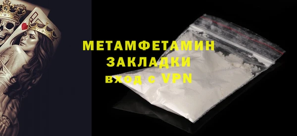 ГАЛЛЮЦИНОГЕННЫЕ ГРИБЫ Козловка