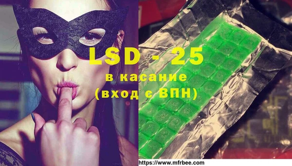 ГАЛЛЮЦИНОГЕННЫЕ ГРИБЫ Козловка