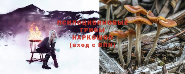 бутират Козельск