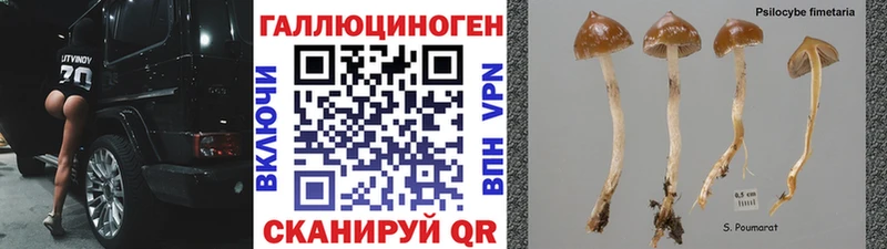 купить закладку  Маркс  Псилоцибиновые грибы GOLDEN TEACHER 