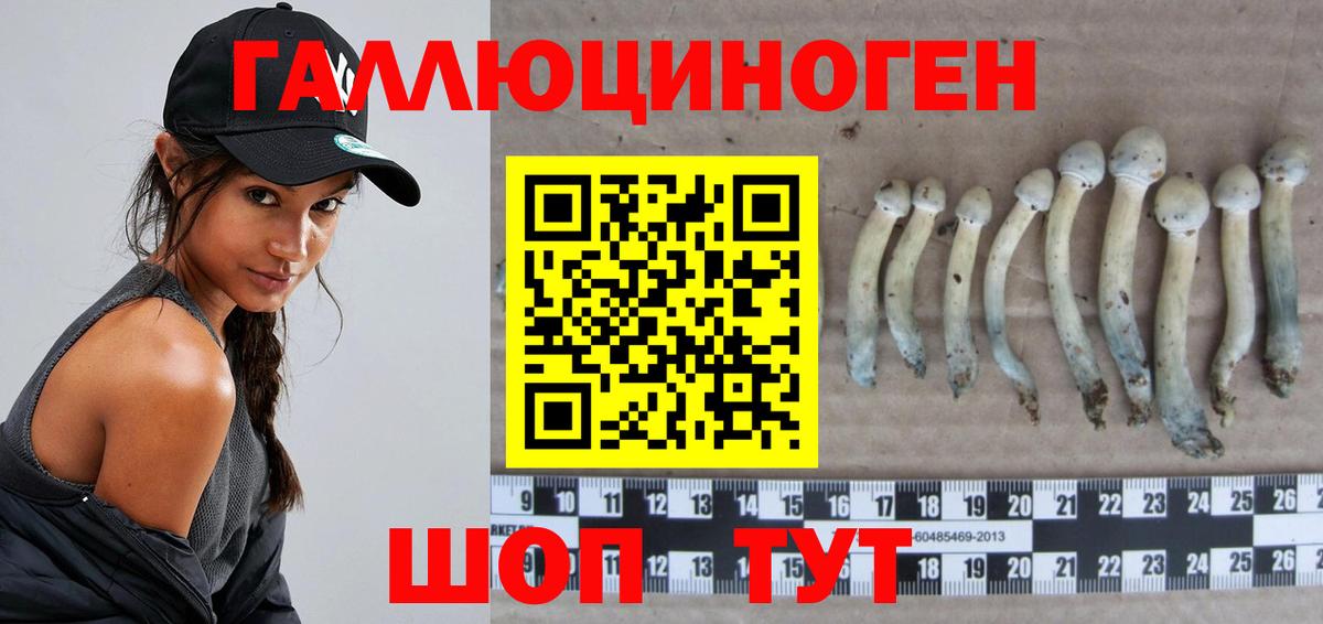 Галлюциногенные грибы Magic Shrooms  Маркс  Галлюциногенные грибы MAGIC MUSHROOMS 